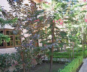Hotel Corbett Treff Dhikuli Esterno foto